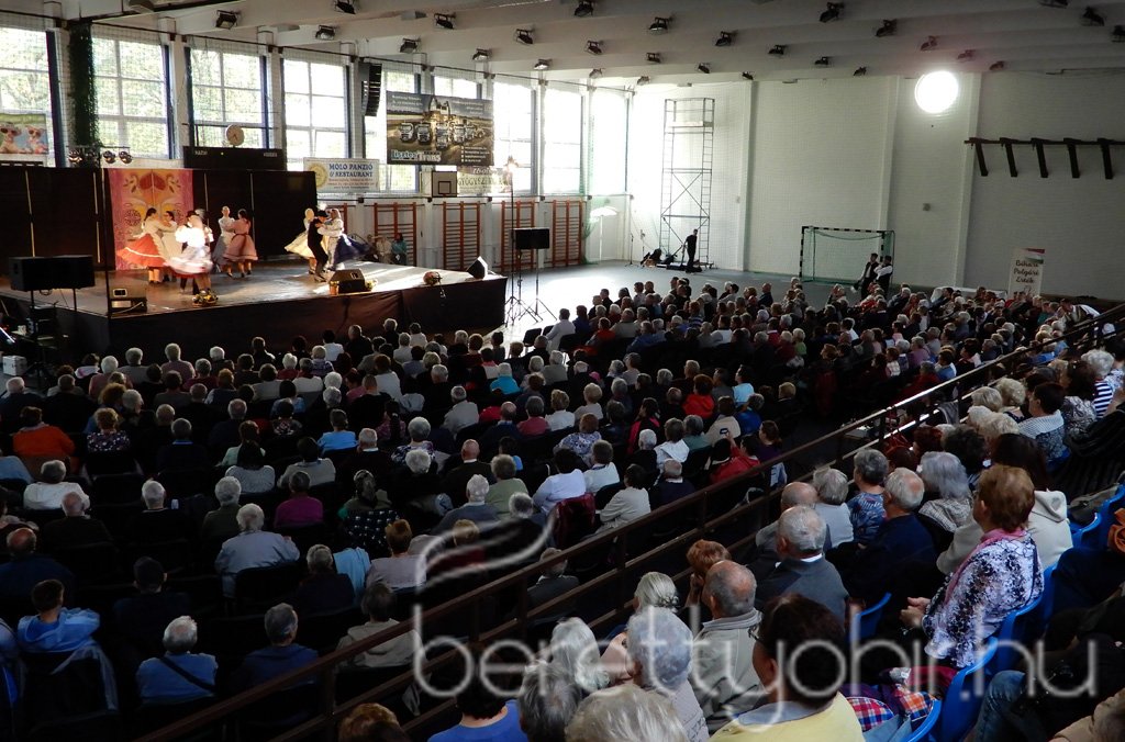 Kovács Kati koncertezett az időseknek 28